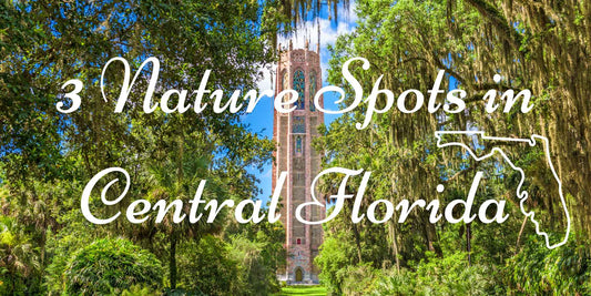 3 Nature Spots in Central Florida