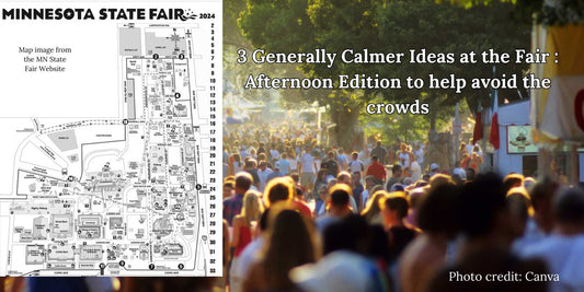3 Generally Calmer Ideas at the Fair : Afternoon Edition : Day 2