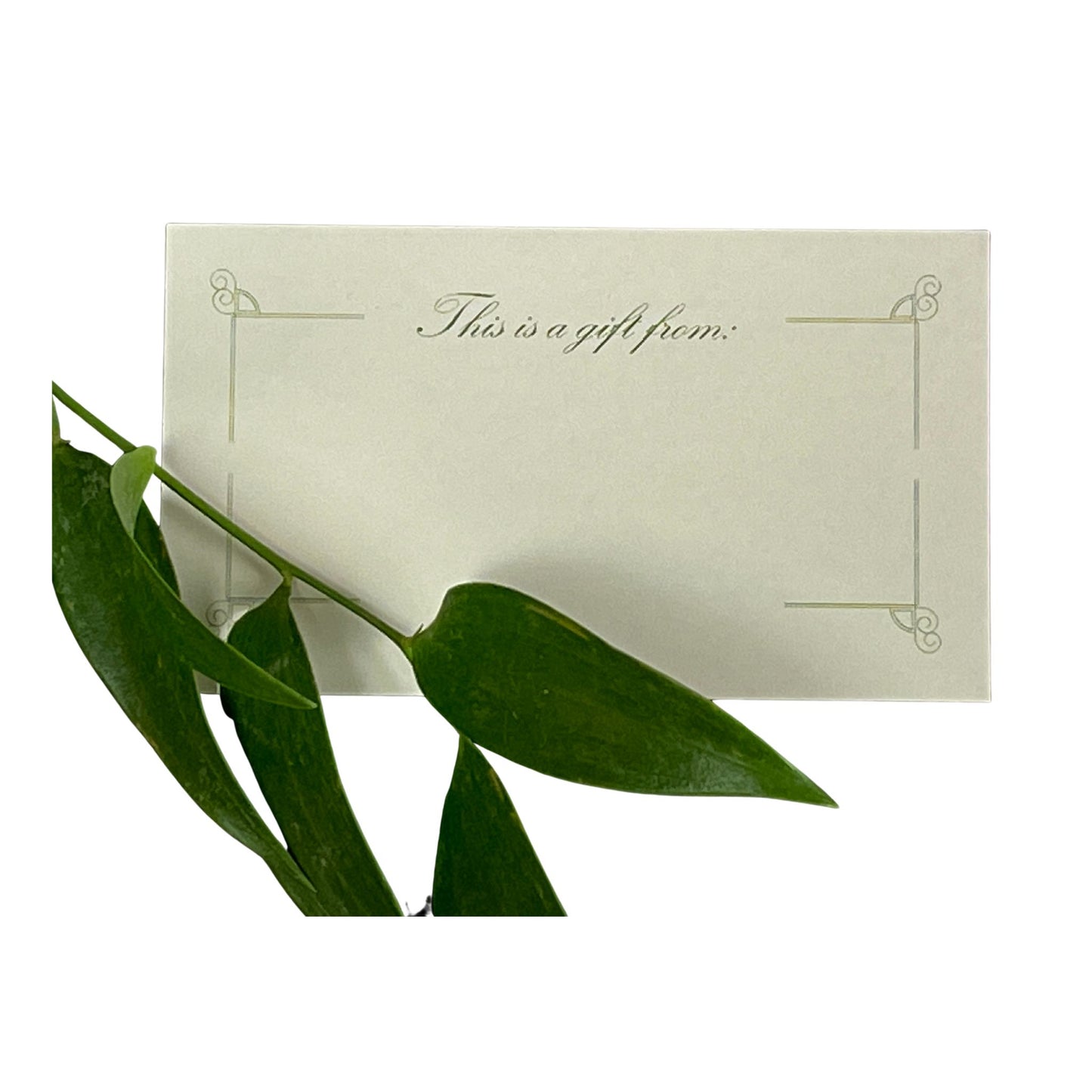 Family Caregiver Gift Set: Classic version