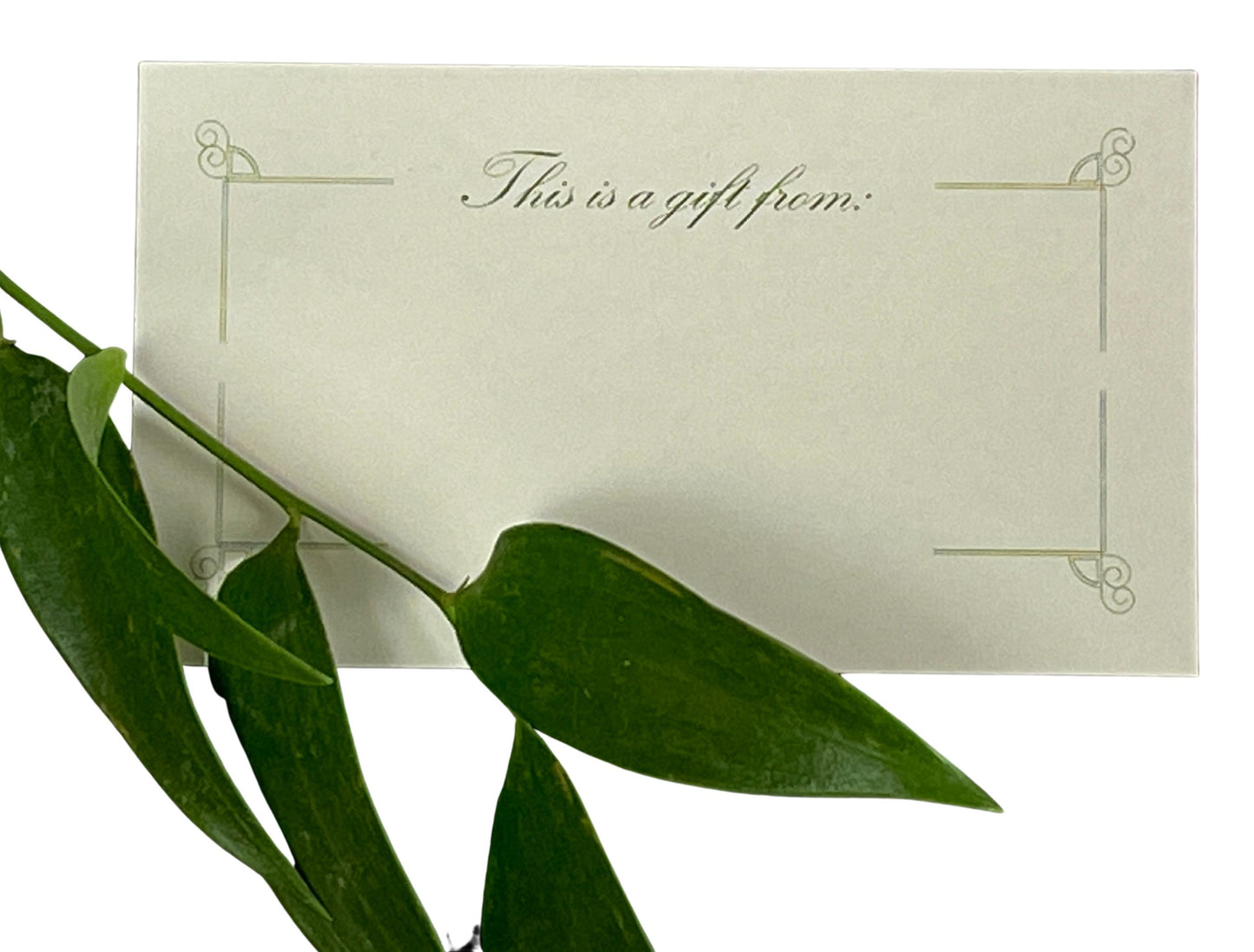 Retirement Countdown Gift Set: Classic Version