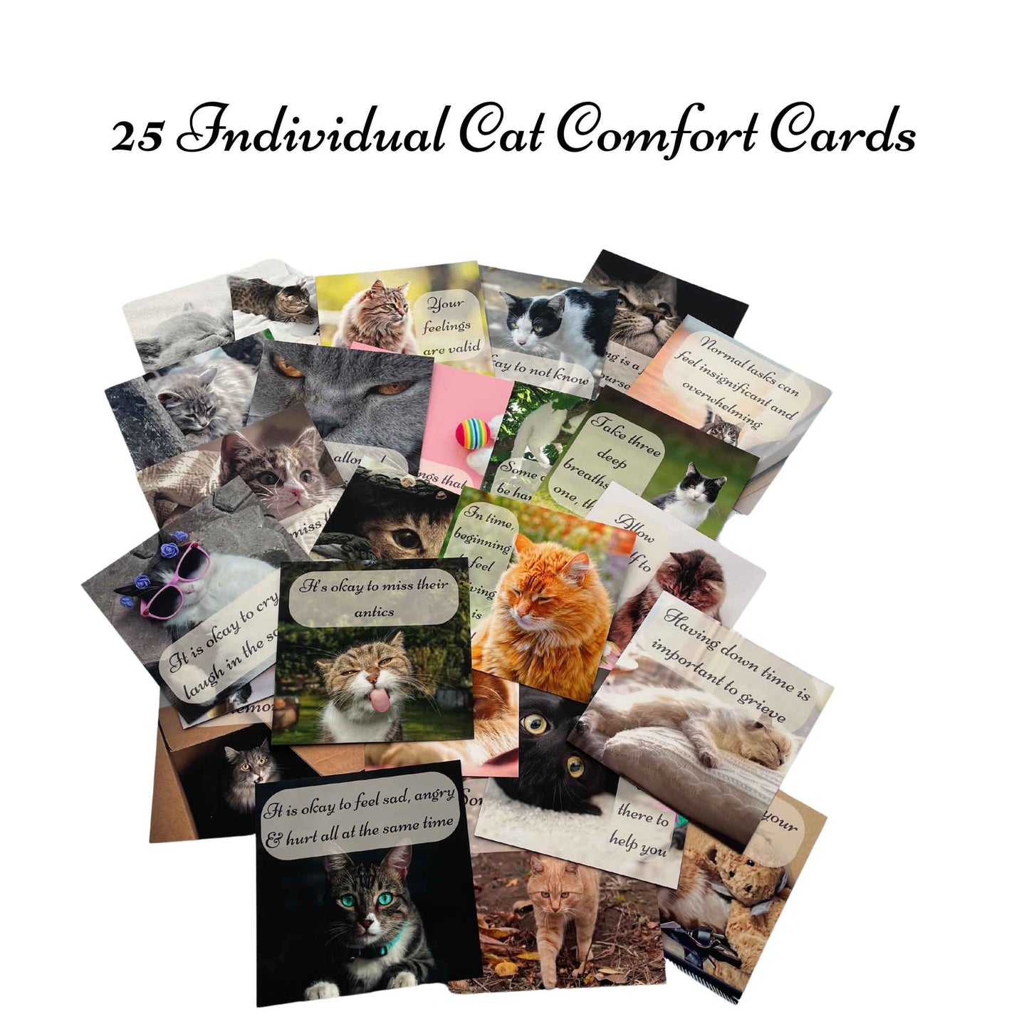 BUSINESS Comfort Card Gift Sets for Cat Loss (12 Sets)