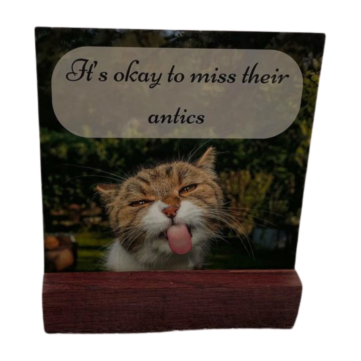 WHOLESALE Comfort Card Gift Sets for the Loss of a Beloved Cat (6 Units)