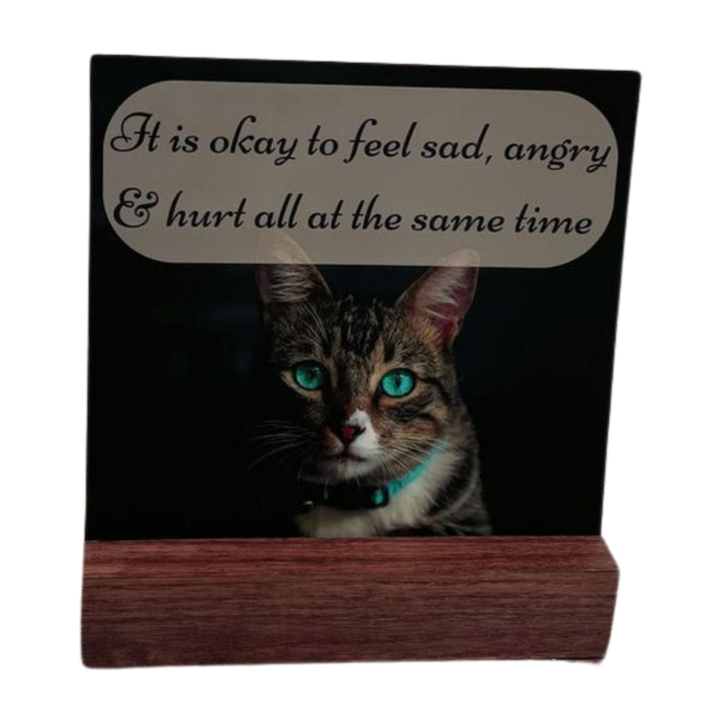 Comfort Card Gift Sets for the Loss of a Beloved Cat