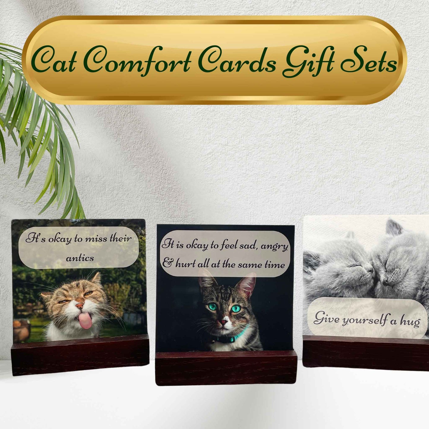 BUSINESS Comfort Card Gift Sets for Cat Loss (12 Sets)