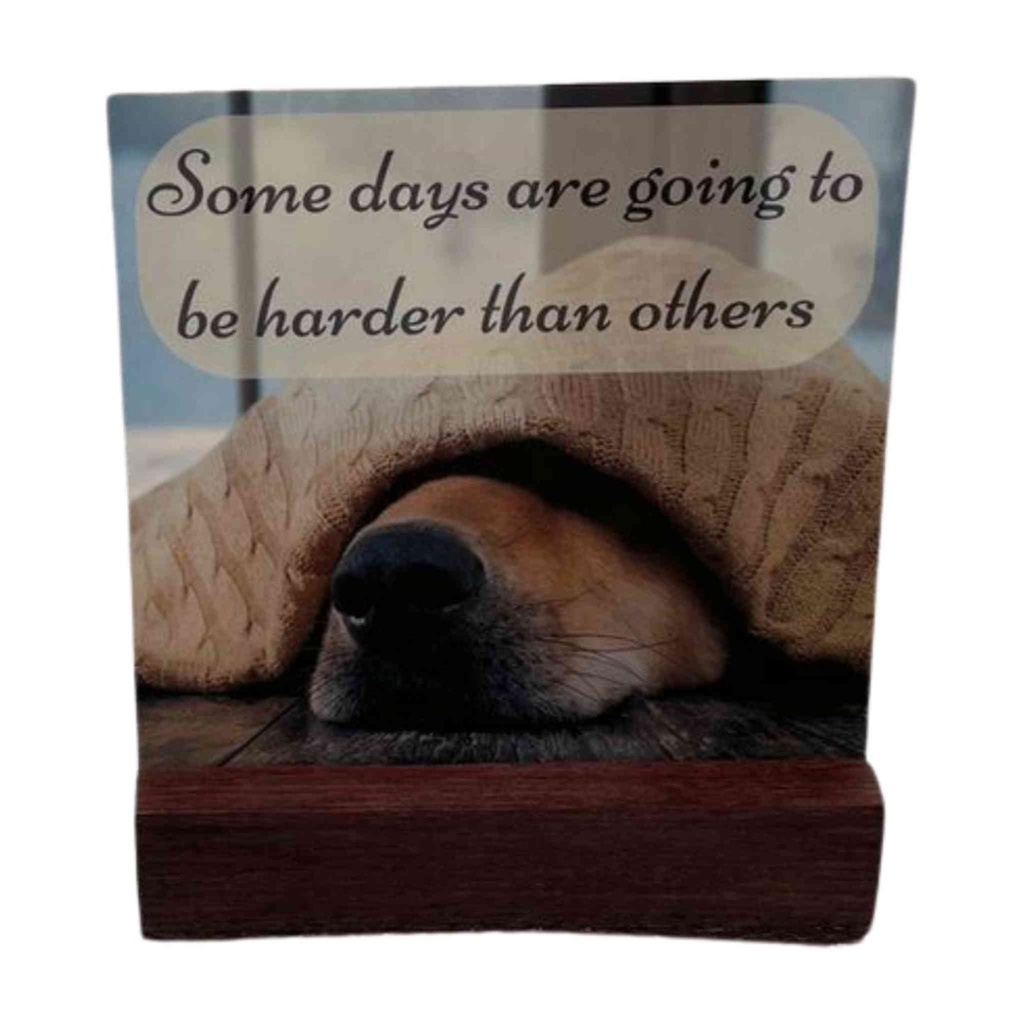 BUSINESS Comfort Card Gift Sets for Dog Loss (12 Sets)