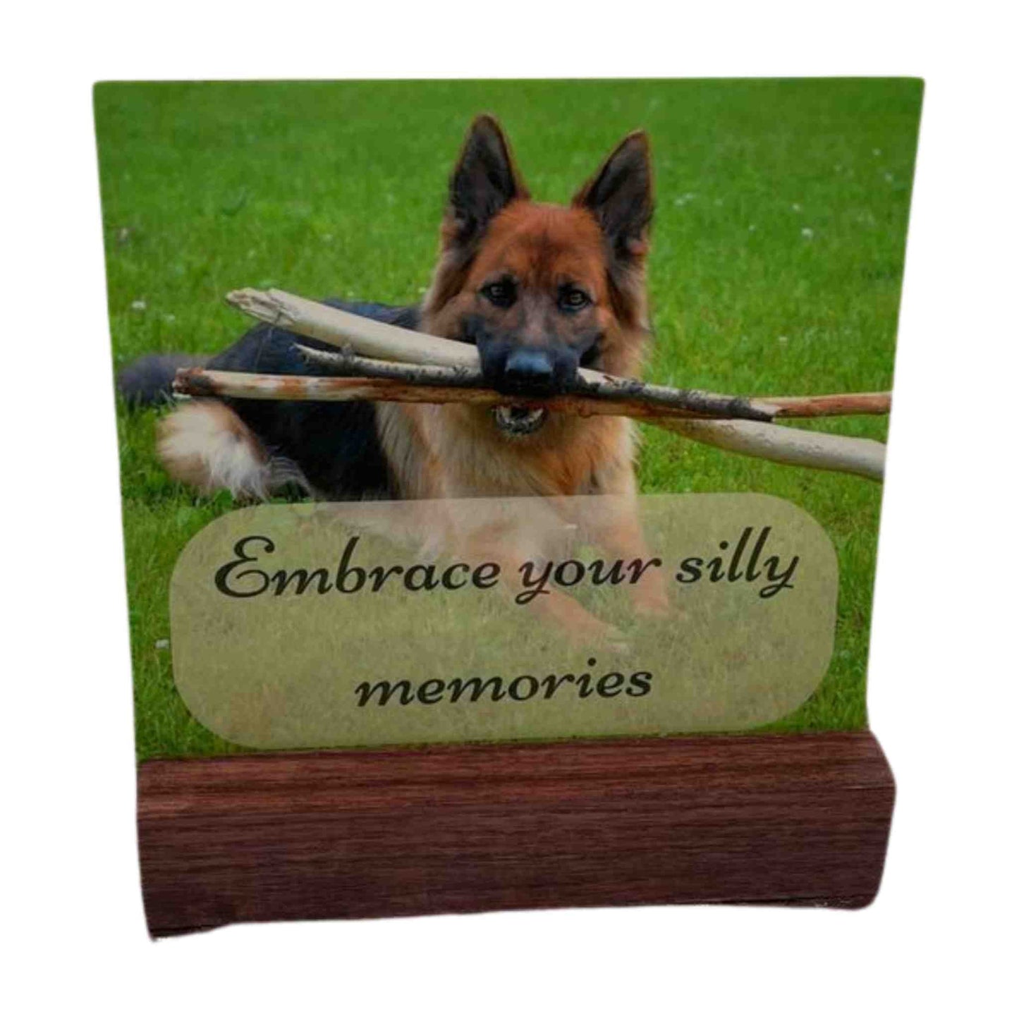 BUSINESS Comfort Card Gift Sets for Pet Loss (12 Sets)