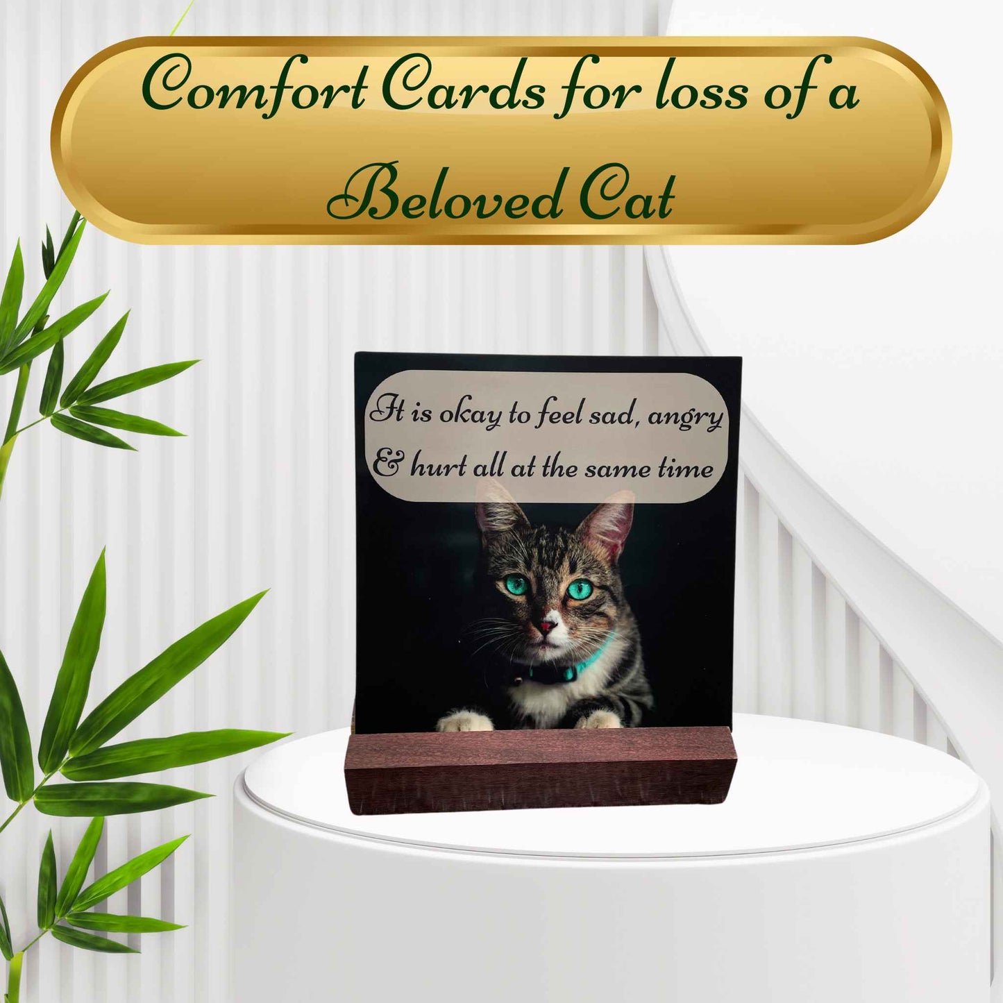 Comfort Card Gift Sets for the Loss of a Beloved Cat