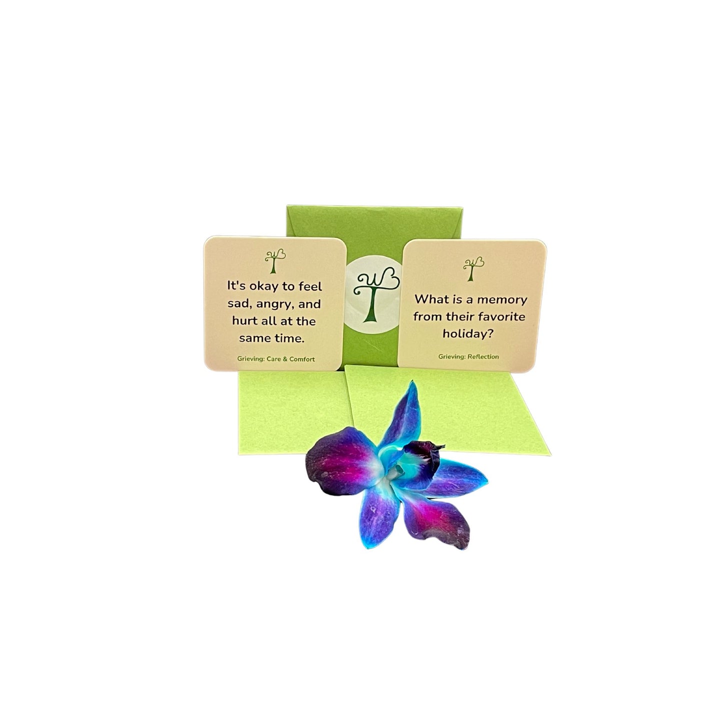 Grieving Support & Reflection Cards Gift Set: Premium version